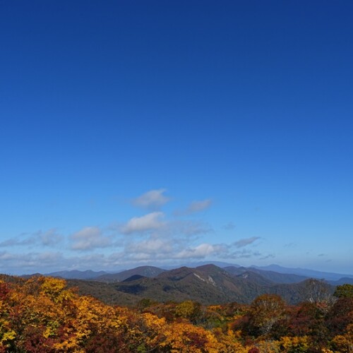 栗駒山の紅葉２０２４