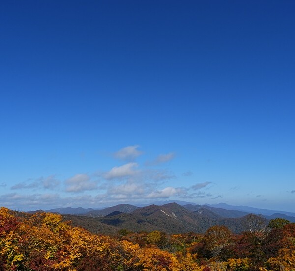 栗駒山の紅葉２０２４