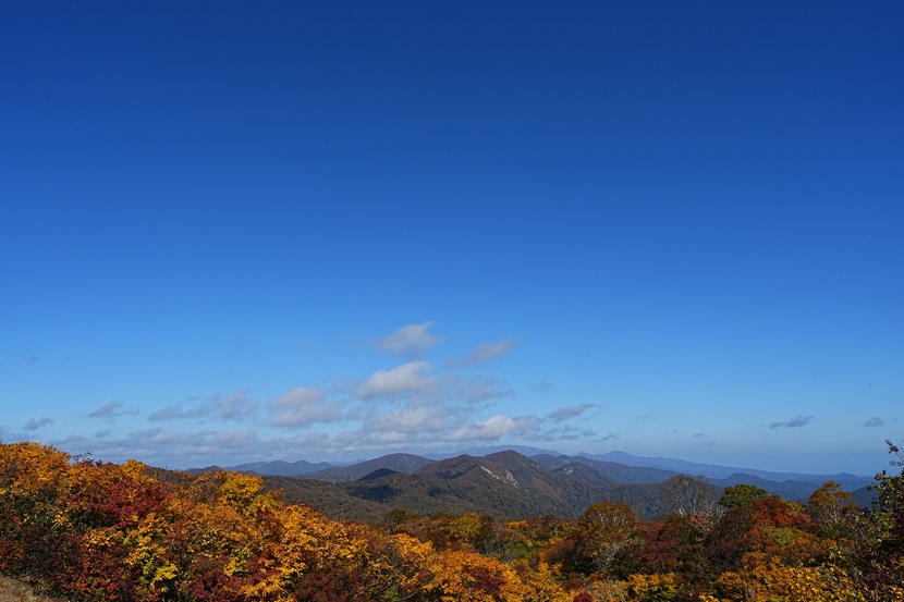 栗駒山の紅葉２０２４